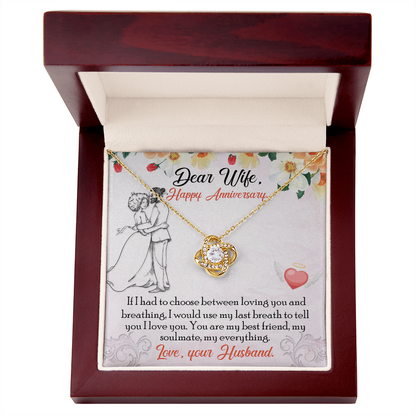 To My Wife – Soulmate Necklace with Anniversary Message Card