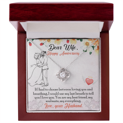 To My Wife – Soulmate Necklace with Anniversary Message Card